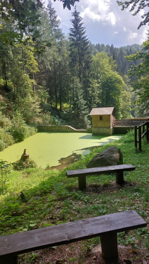 Vikendovy Dom U Vasila Βίλα Krahule Εξωτερικό φωτογραφία